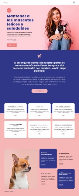 Información Sobre El Cuidado De Mascotas - Hermoso Diseño De Sitio Web