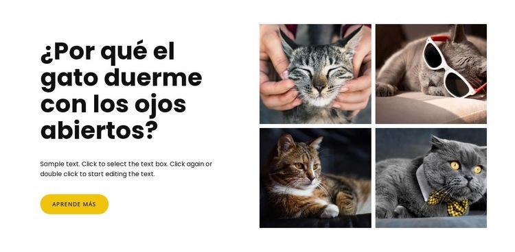 Datos sobre los gatos Maqueta de sitio web
