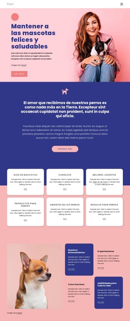 Descargar El Tema De WordPress Para Información Sobre El Cuidado De Mascotas