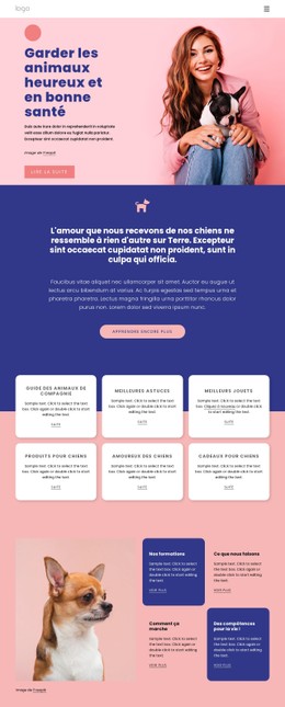 Informations Sur La Garde Des Animaux Modèle HTML CSS Réactif