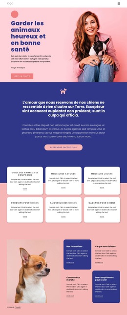 Informations Sur La Garde Des Animaux : Modèle De Site Web Simple