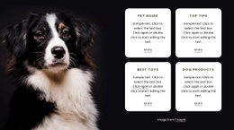 Grid Repeater On Dark Background - Html Code Example