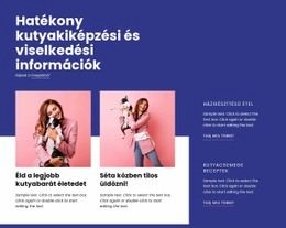 Hatékony Kutyakiképzés – Reszponzív HTML5-Sablon