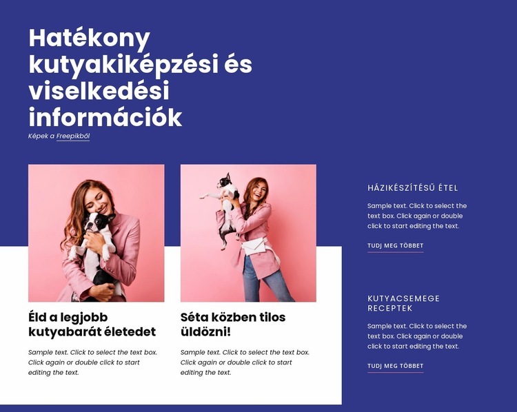 Hatékony kutyakiképzés WordPress Téma