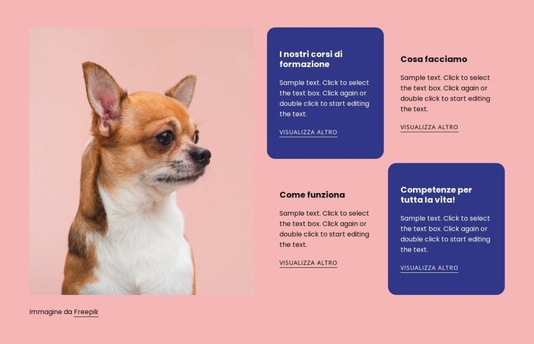 Consigli per la salute e il comportamento del cane Costruttore di siti web HTML