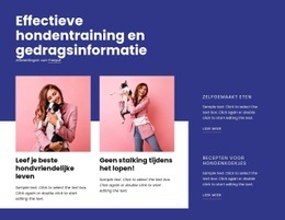 Effectieve Hondentraining - Beste Sjabloon Van Één Pagina