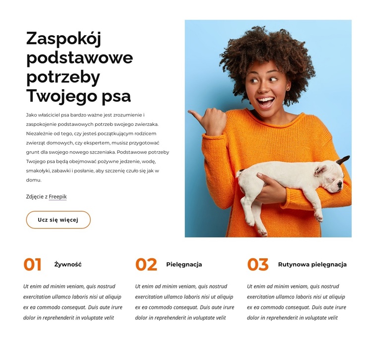 Podstawowe potrzeby psa Motyw WordPress