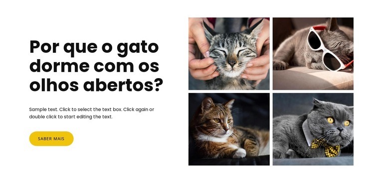 fatos sobre gatos Modelo HTML5