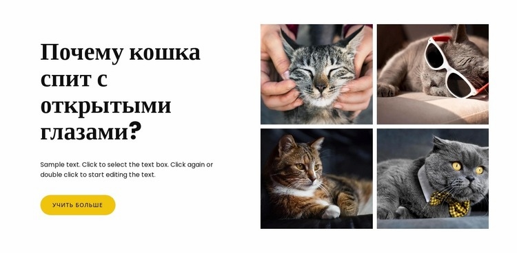 Факты о кошках Дизайн сайта