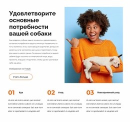 Основные Потребности Собаки