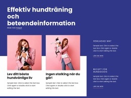 Effektiv Hundträning - Ultimat Webbdesign