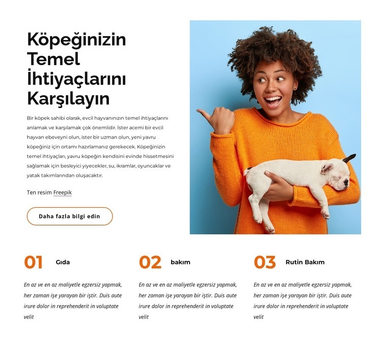 Köpeğin temel ihtiyaçları Html Web Sitesi Oluşturucu