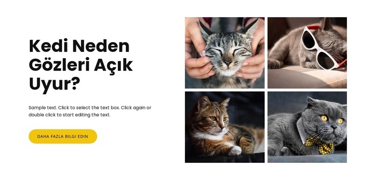 kediler hakkında gerçekler Web Sitesi Mockup'ı