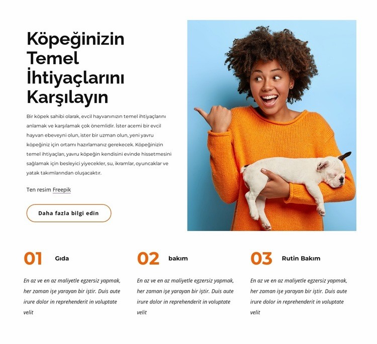 Köpeğin temel ihtiyaçları Web sitesi tasarımı