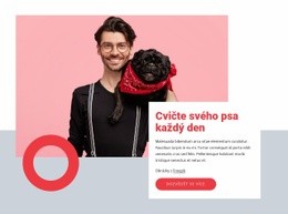 Web WordPress Pro Cvičte Svého Psa Každý Den