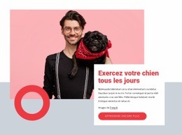 Exercez Votre Chien Tous Les Jours - Modèle HTML5 Réactif