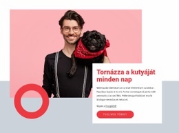 Tornázza A Kutyáját Minden Nap