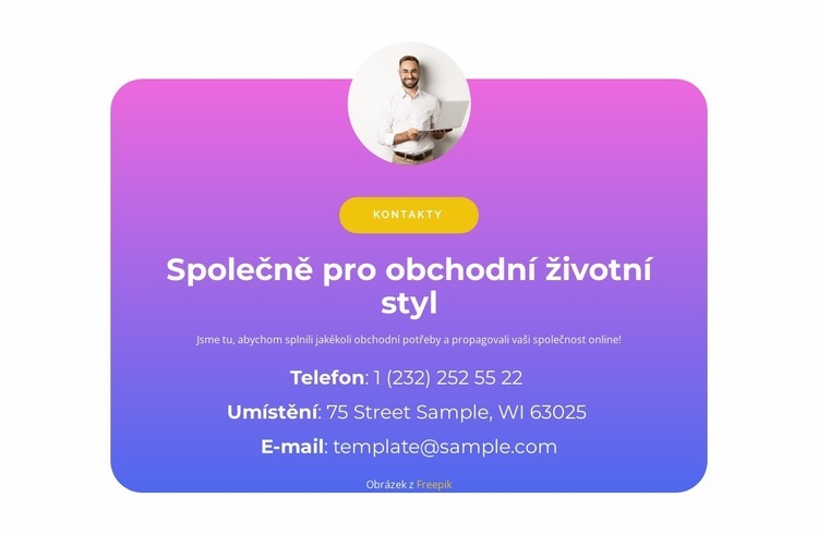 Společně v podnikání Šablona CSS