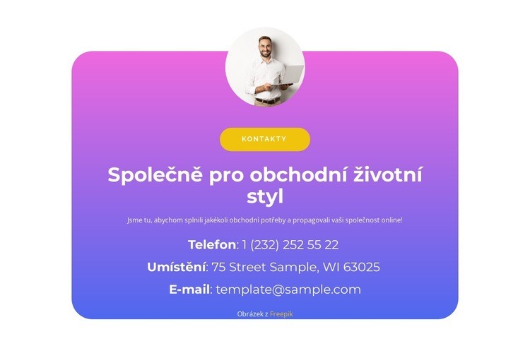 Společně v podnikání Webový design