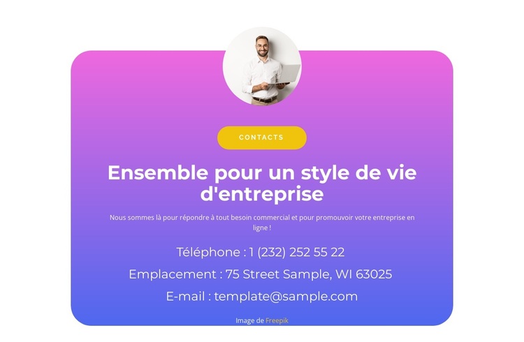 Ensemble en affaires Thème WordPress