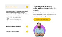 Trabalhe Com Um Profissional Modelo De Layout CSS