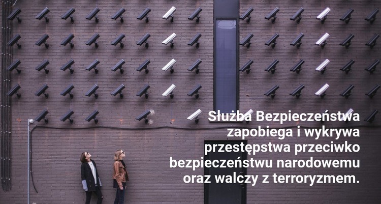 Służby Bezpieczeństwa Makieta strony internetowej