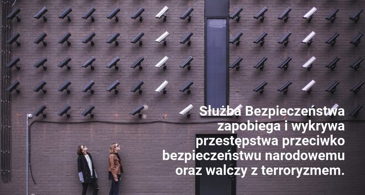 Służby Bezpieczeństwa Szablon witryny sieci Web