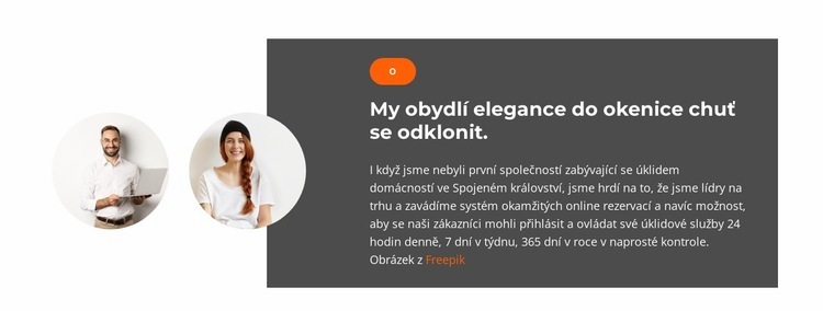 Dva obchodní manažeři Šablona CSS