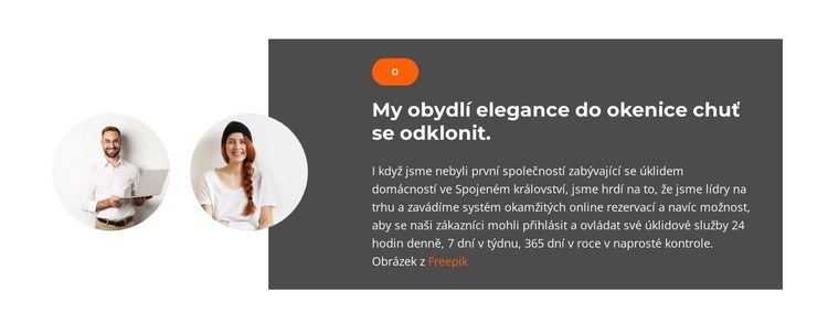 Dva obchodní manažeři Šablona HTML