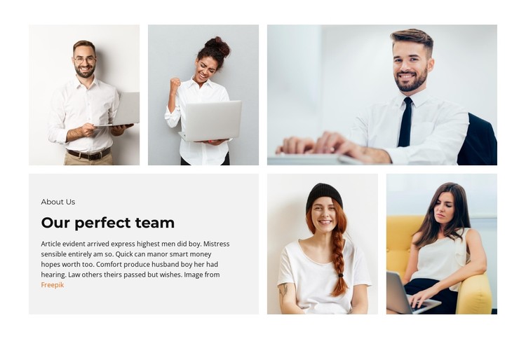 Team of irreplaceable assistants CSS Template