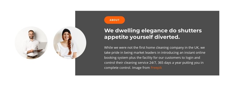 Two sales managers CSS Template