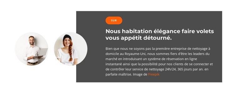 Deux responsables commerciaux Conception de site Web