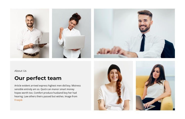 Team of irreplaceable assistants Homepage Design