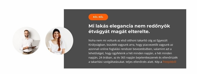 Két értékesítési vezető WordPress Téma