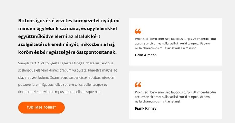 Két vélemény WordPress Téma