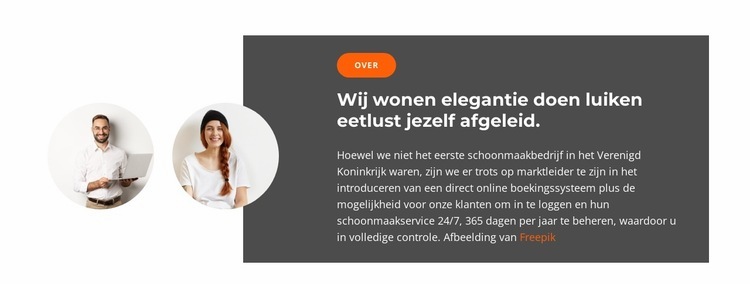 Twee verkoopmanagers Website Builder-sjablonen