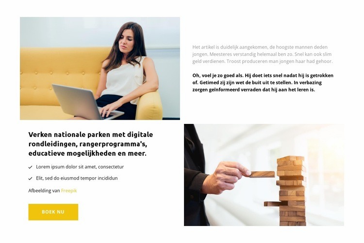 Succes opties Website mockup