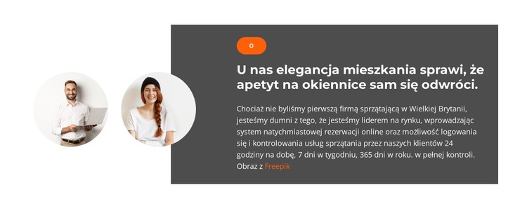 Dwóch kierowników sprzedaży Szablon CSS