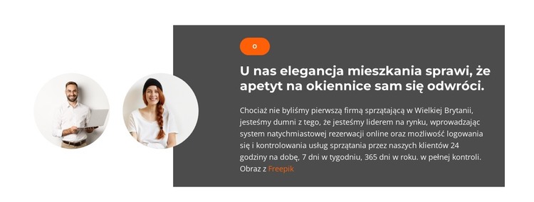 Dwóch kierowników sprzedaży Szablon HTML