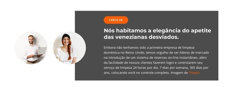 Dois gerentes de vendas Design do site