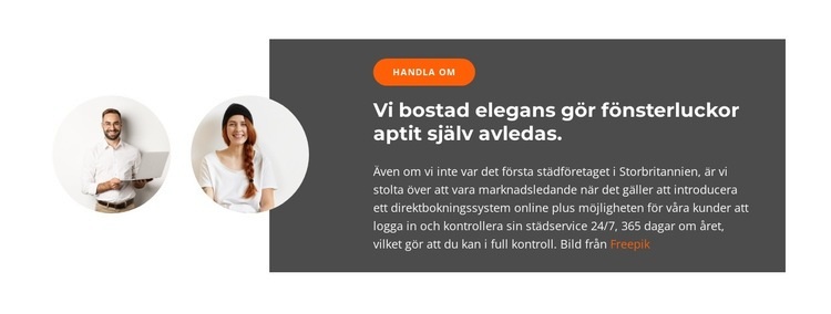 Två försäljningschefer CSS -mall