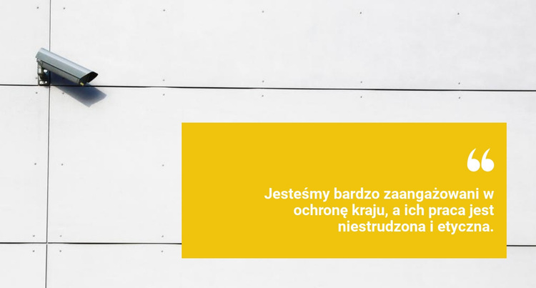 Bezpieczeństwo w domu Motyw WordPress