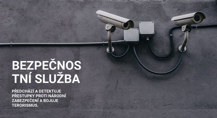 Zabezpečení CCTV Šablona CSS