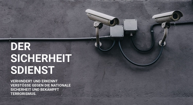 CCTV-Sicherheit Eine Seitenvorlage