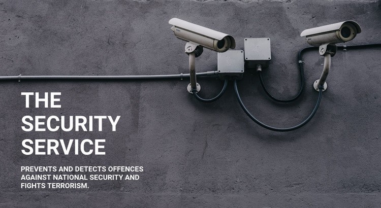 CCTV security Elementor Template Alternative