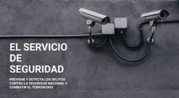 Diseño Del Sitio Para Seguridad CCTV