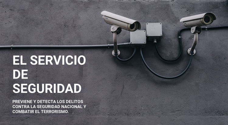 Seguridad CCTV Maqueta de sitio web
