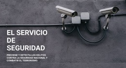 Seguridad CCTV - Diseñador De Páginas De Destino