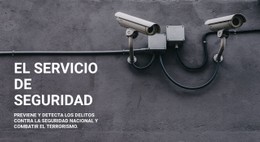 Seguridad CCTV Plantilla De Una Sola Página