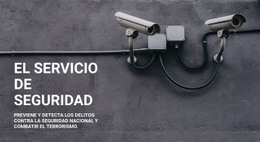Seguridad CCTV - Plantilla De Una Página
